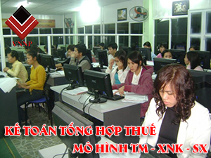 Thực hành kinh nghiệm nghề kế toán tổng hợp thuế mô hình TM - XNK - SX
